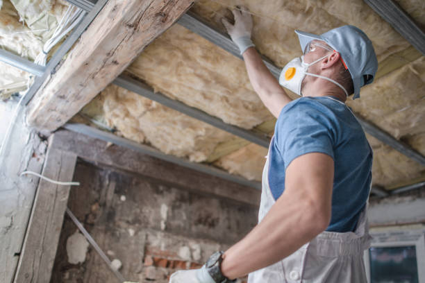 Best Energy Efficiency Insulation in Tlassee, AL