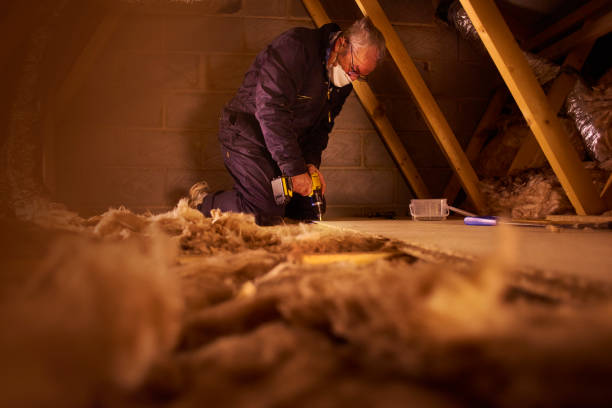 Trusted Tallassee, AL Insulation Contractor Experts